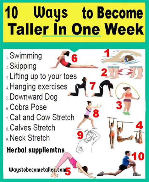 hanging to grow taller|10 Best Quick & Effective Exercises to Increase Height .